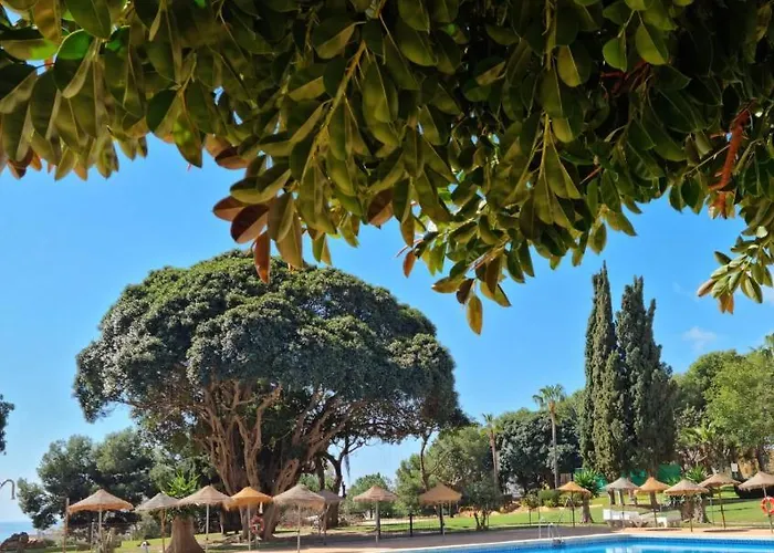 Lemon Tree Apartment